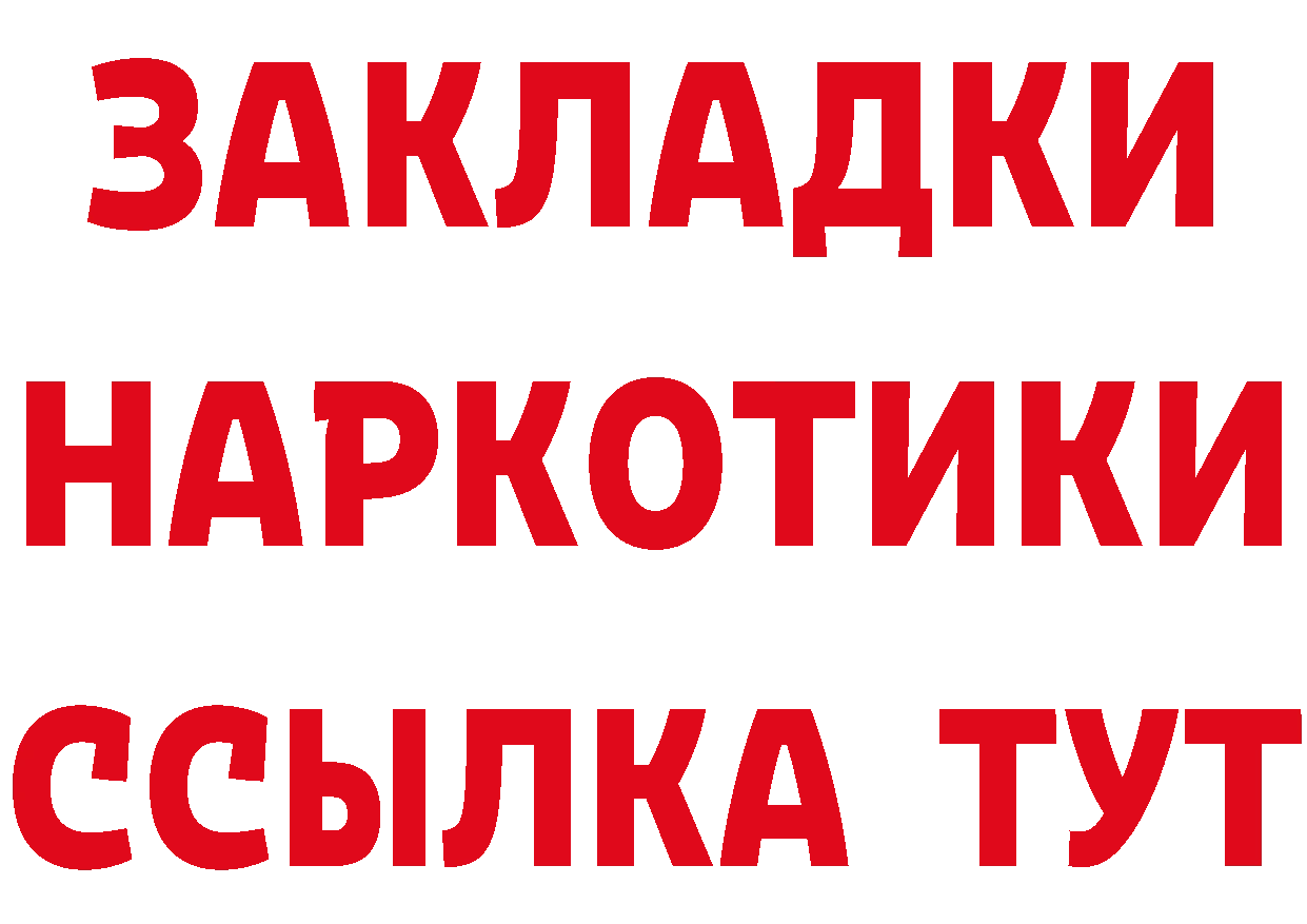 Как найти закладки?  телеграм Стародуб